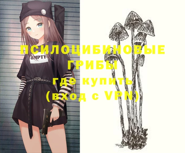 дмт Белокуриха