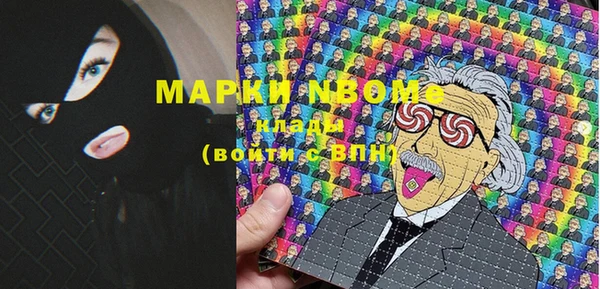 молекула духа Пересвет